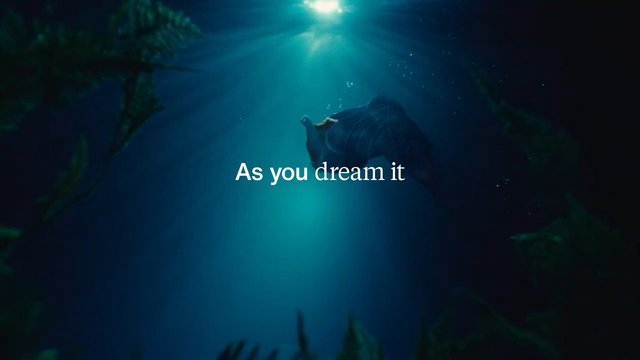 Video Reference: underwater, sunlight, ocean, blue water, kelp, seaweed, text overlay, dreamy, marine, nature, submerged, light rays
