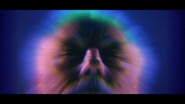 Video Reference: Hair, Plant, Purple, Petal, Violet, Art, Gas, Font, Symmetry, Electric blue