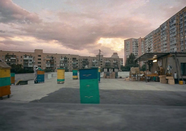 Video Reference: Cloud, Sky, Building, Asphalt, Window, Road surface, Tree, Morning, City, Gas