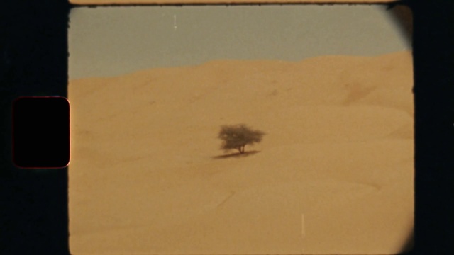 Video Reference: Rectangle, Tree, Tints and shades, Landscape, Font, Wood, Paper, Aeolian landform, Paper product, Visual arts