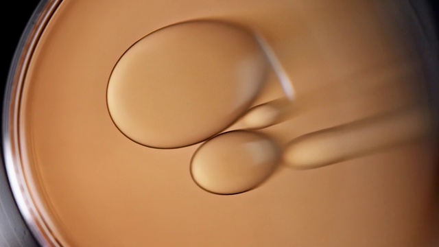 Video Reference: Brown, Gesture, Wood, Tints and shades, Automotive design, Beige, Ceiling, Circle, Metal, Macro photography