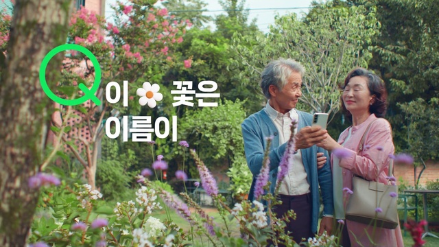 Video Reference: Flower, Plant, Microphone, Grass, Tree, Happy, Tie, Shrub, Landscape, Grass family