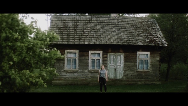 Video Reference: Building, Plant, Window, Property, House, Tree, Land lot, Wood, Cottage, People in nature