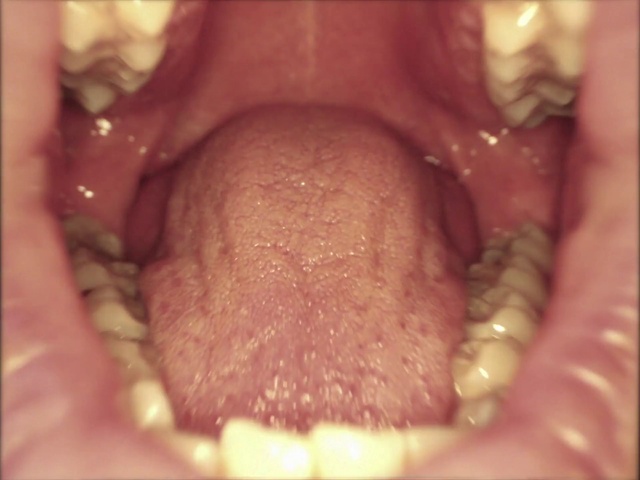 Video Reference: Jaw, Gesture, Ingredient, Tooth, Wrinkle, Cuisine, Close-up, Foot, Dish, Meat