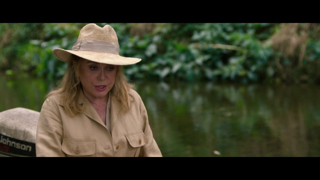 Video Reference: Hat, Plant, People in nature, Fedora, Flash photography, Sun hat, Happy, Wood, Grass, Natural landscape
