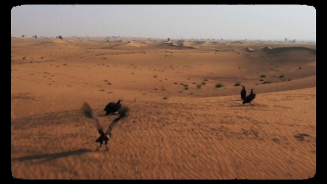 Video Reference: Sky, Erg, Landscape, Singing sand, Plain, Dune, Tints and shades, Horizon, Aeolian landform, Heat