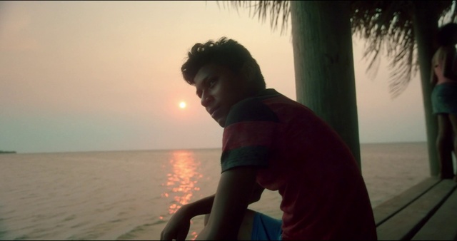 Video Reference: Water, Sky, Flash photography, Sunlight, Happy, Travel, Lake, Tree, Horizon, Shorts