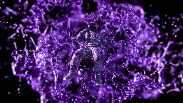 Video Reference: Flower, Plant, Water, Purple, Petal, Organism, Violet, Magenta, Terrestrial plant, Electric blue