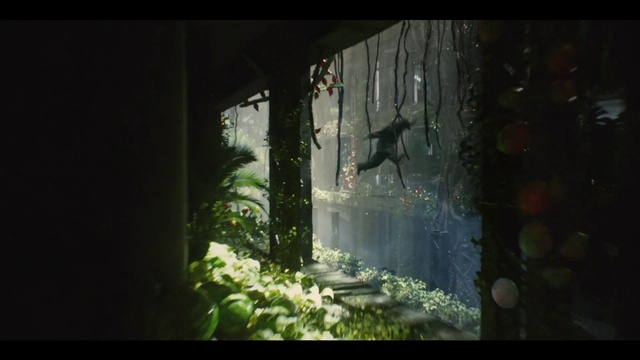 Video Reference: Plant, Window, Terrestrial plant, Grass, Tints and shades, House, Wood, Art, Landscape, Glass