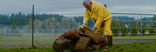Video Reference: Sky, Plant, Fence, Wood, Tree, Landscape, Cloud, Grass, Grassland, Zookeeper