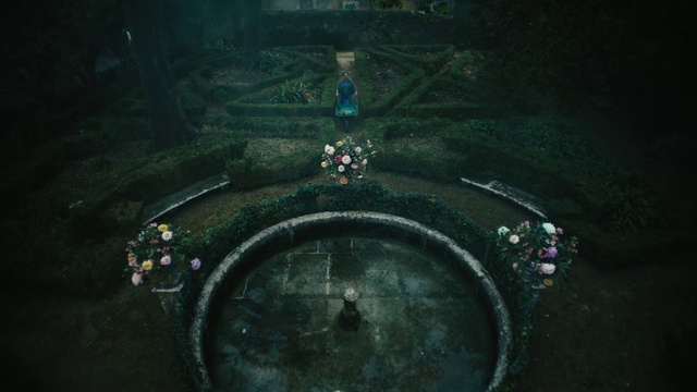 Video Reference: Circle, Symmetry, Terrestrial plant, Darkness, Art, Asphalt, Landscape, Road surface, Visual arts, Pattern