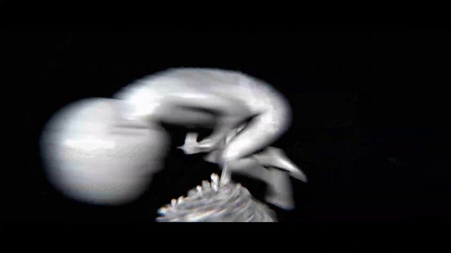 Video Reference: Eyelash, Flash photography, Jaw, Gesture, Bone, Font, Plant, Skull, Audio equipment, Skeleton