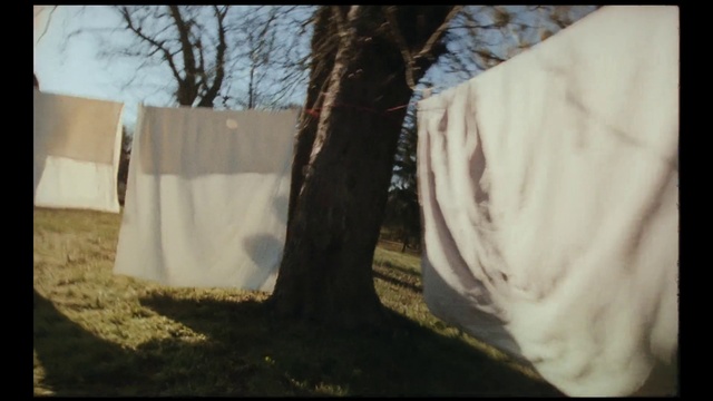 Video Reference: Plant, Sky, Wood, Gesture, Shade, Trunk, Tree, Twig, Tints and shades, Grass