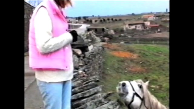 Video Reference: person, horse, rural, landscape, outdoors, stone wall, pasture, field, equestrian, farm, vintage video, travel