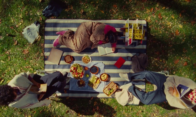 Video Reference: Textile, Plant, Grass, Leisure, Adaptation, Art, Lawn, Tree, Sitting, Recreation