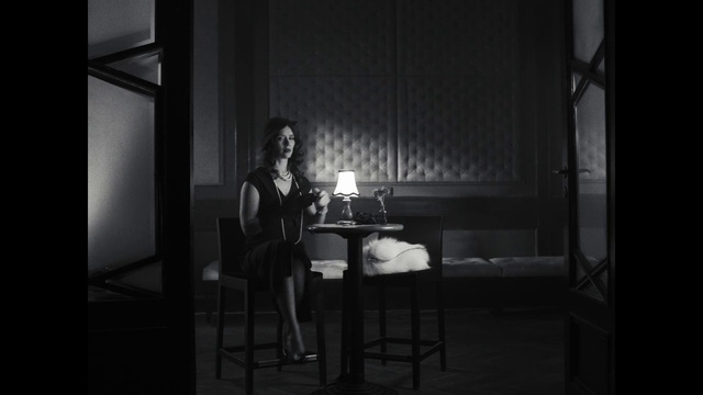 Video Reference: Flash photography, Tableware, Standing, Black-and-white, Style, Table, Tints and shades, Monochrome photography, Monochrome, Entertainment