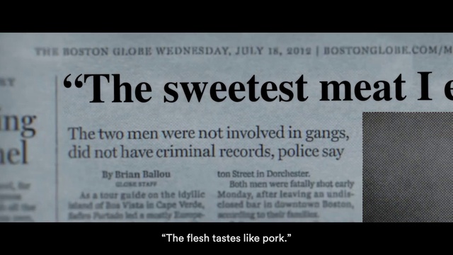 Video Reference: Font, Rectangle, Magenta, Event, Paper, Terrestrial plant, Signage, Landscape, Document