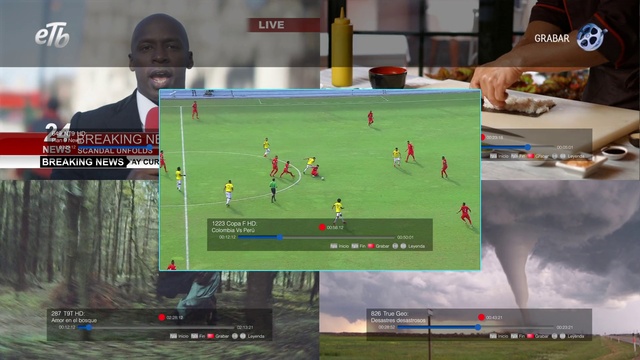 Video Reference: Photograph, Green, World, Player, Grass, Screenshot, Biome, Leisure, Sports, Competition event