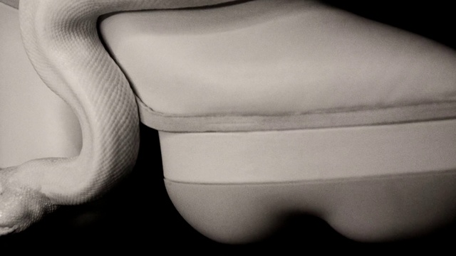 Video Reference: Head, Comfort, Human body, Jaw, Neck, Eyelash, Automotive design, Elbow, Tints and shades, Knee