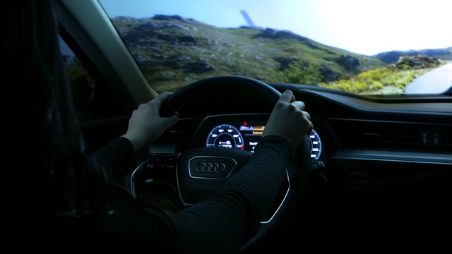Video Reference: Car, Speedometer, Vehicle, Sky, Plant, Automotive design, Motor vehicle, Steering wheel, Wheel, Gauge