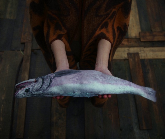 Video Reference: Fin, Seafood, Salmon-like fish, Fish, Marine biology, Fish products, Ray-finned fish, Tail, Marine invertebrates, Wood