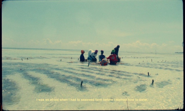 Video Reference: Sky, People in nature, Cloud, People on beach, Travel, Freezing, Slope, Grassland, Landscape, Happy