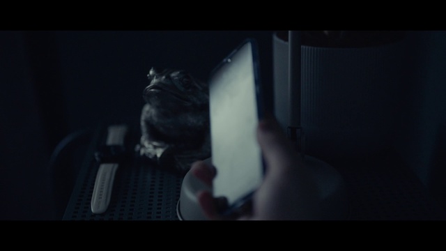 Video Reference: Flash photography, Gesture, Cat, Felidae, Whiskers, Darkness, Elbow, Small to medium-sized cats, Tail, Wrist