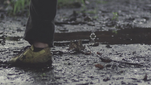 Video Reference: Shoe, Water, Road surface, Wood, Asphalt, Grey, People in nature, Grass, Thigh, Human leg