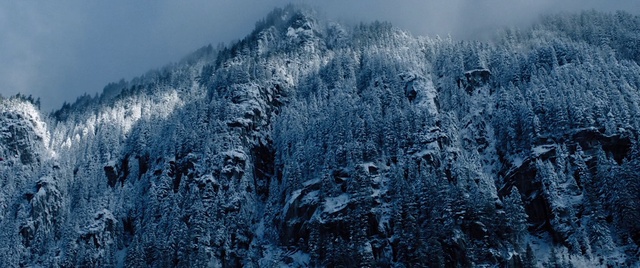 Video Reference: Sky, Snow, Plant, Mountain, Larch, Slope, Natural landscape, Tree, Evergreen, Mountainous landforms