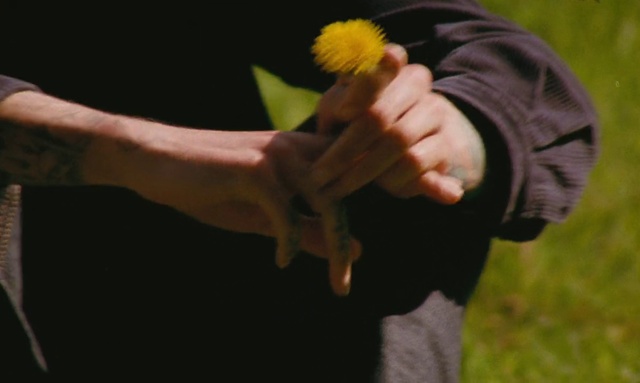 Video Reference: Flower, Hand, Plant, Gesture, Petal, Finger, People in nature, Wrist, Thumb, Grass