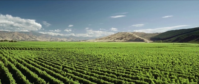 Video Reference: Cloud, Sky, Plant, Mountain, Natural landscape, Highland, Land lot, Tree, Agriculture, Atmospheric phenomenon