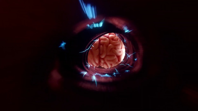 Video Reference: Hand, Automotive lighting, Plant, Human body, Jaw, Brain, Gesture, Medical imaging, Medical, Gas