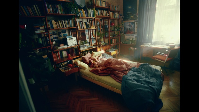 Video Reference: Furniture, Bookcase, Shelf, Wood, Interior design, Comfort, Building, Window, Shelving, Book