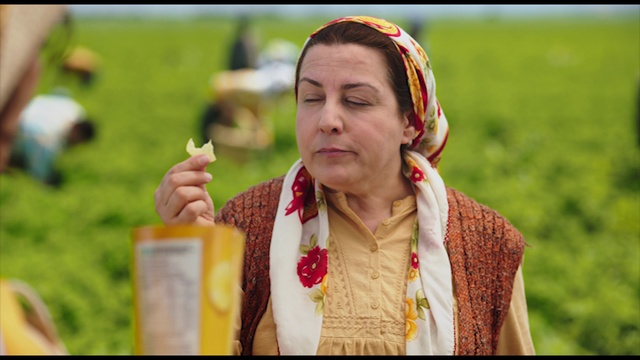 Video Reference: Happy, Grass, Necklace, People in nature, Fun, Leisure, Jewellery, Event, Tradition, Fashion accessory