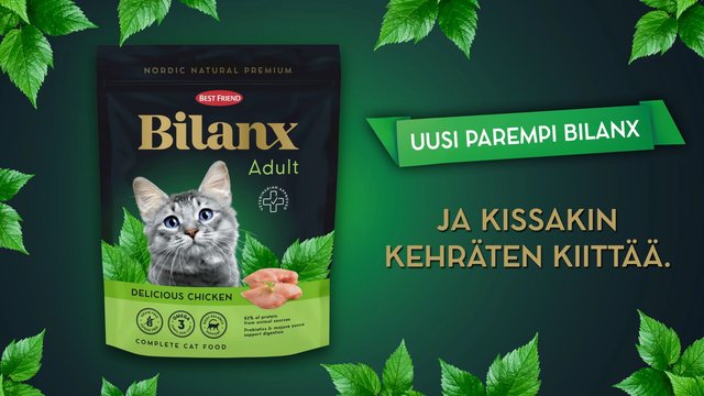 Video Reference: cat food, pet food, packaging, product shot, cat, bag, green background, leaves, advertisement, promo text, adult cat, chicken flavor, brand packaging, commercial