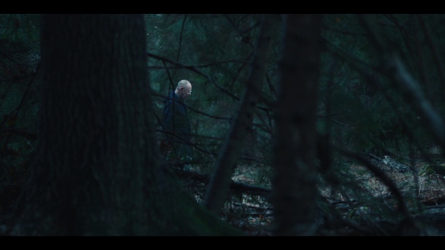 Video Reference: Plant, Flash photography, Wood, Twig, Tree, Trunk, Terrestrial plant, Moon, Tints and shades, Font