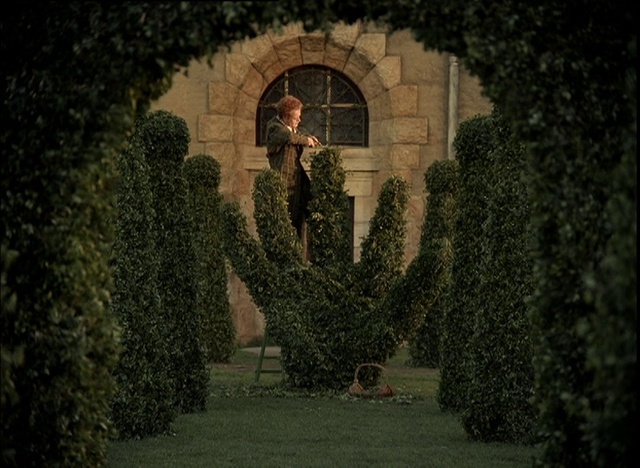 Video Reference: Plant, Leaf, Lighting, Building, Grass, Wall, Window, Tints and shades, Art, Landscape