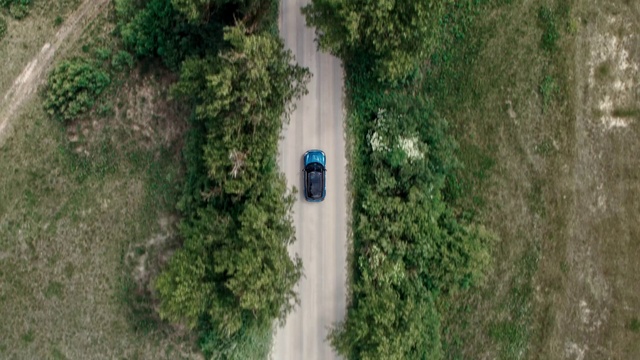 Video Reference: Plant, Land vehicle, Plant community, Car, Ecoregion, Vehicle, Slope, Watercourse, Thoroughfare, Grass