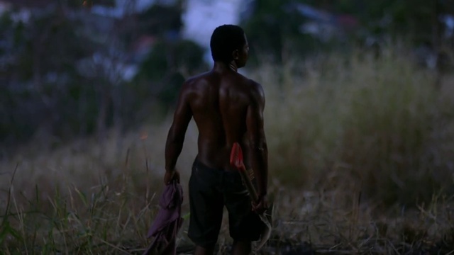 Video Reference: Shorts, Plant, People in nature, Grassland, Chest, Barechested, Grass, Trunk, Human leg, Terrestrial animal