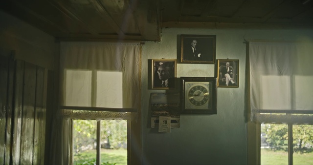 Video Reference: Plant, Picture frame, Wood, Building, Window, Curtain, Fixture, House, Tints and shades, Tree