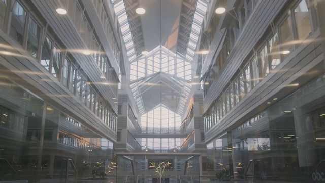 Video Reference: Building, Symmetry, City, Ceiling, Fixture, Metropolis, Commercial building, Glass, Beam, Art