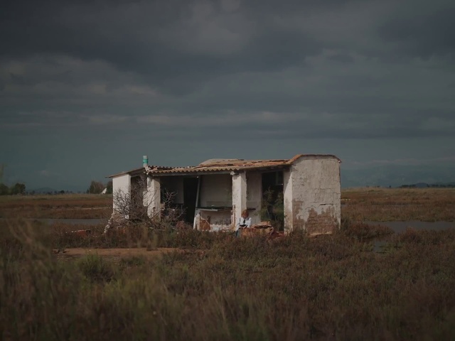 Video Reference: Cloud, Sky, Plant, Window, Wood, Grass, Tints and shades, Grassland, Landscape, Prairie
