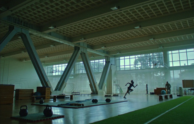 Video Reference: Building, Field house, Window, Shade, Fixture, Hall, Flooring, Symmetry, Wood, Leisure