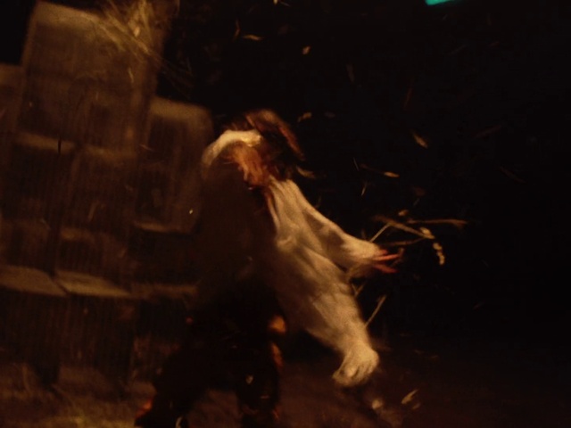 Video Reference: Flash photography, Wood, People in nature, Cg artwork, Grass, Performing arts, Entertainment, Heat, Event, Tail