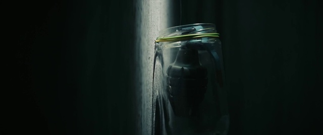 Video Reference: Eye, Liquid, Fluid, Drinkware, Mason jar, Plant, Tin can, Tints and shades, Terrestrial plant, Drink