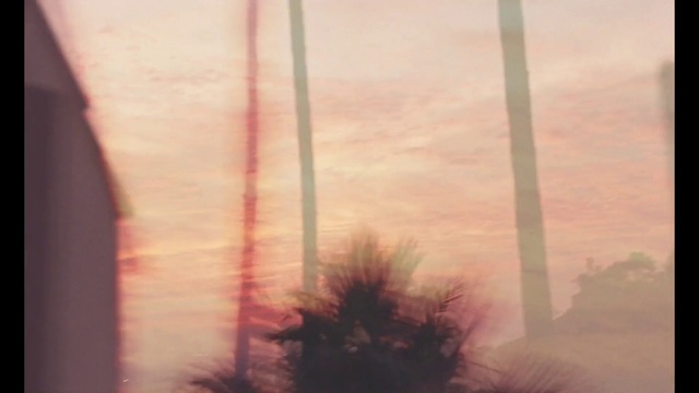 Video Reference: Atmosphere, Sky, Cloud, Window, Plant, Branch, Wood, Afterglow, Dusk, Woody plant