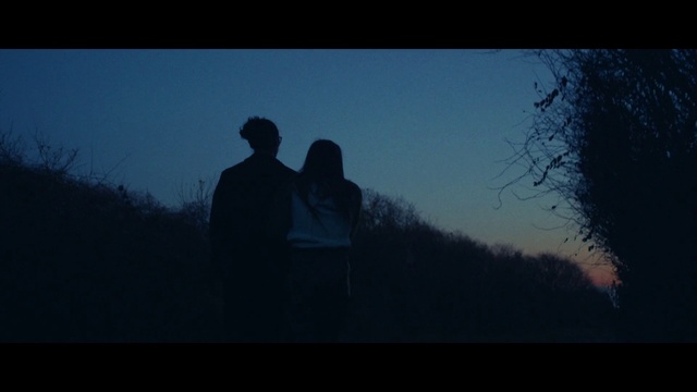 Video Reference: Sky, Flash photography, Gesture, Natural landscape, Dusk, Twig, Tree, Tints and shades, Landscape, Horizon