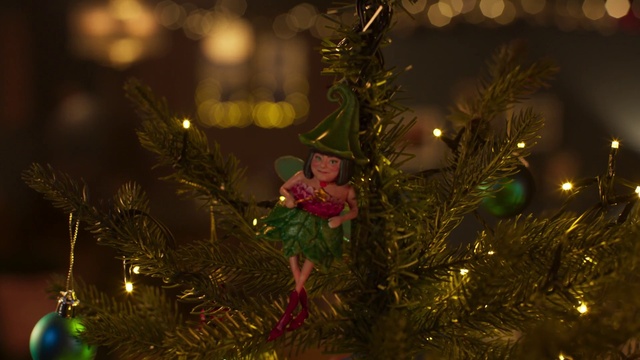 Video Reference: Christmas tree, Plant, Christmas ornament, Light, Holiday ornament, Branch, Lighting, Larch, Evergreen, Ornament