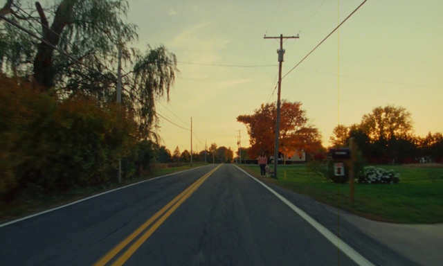 Video Reference: Sky, Plant, Road surface, Natural landscape, Branch, Asphalt, Tree, Mode of transport, Overhead power line, Cloud