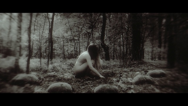 Video Reference: Plant, People in nature, Natural landscape, Flash photography, Tree, Wood, Happy, Trunk, Landscape, Tints and shades